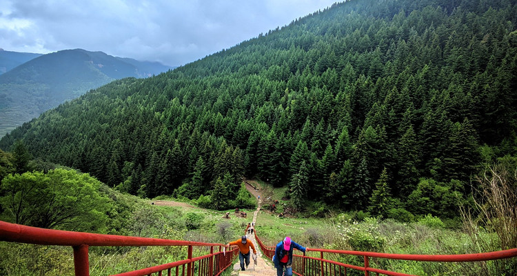 【寻迹晋西·秘境芦芽山4日】探万年冰洞+观悬空村奇观+登芦芽雄峰+马仑草原+雁门关+打卡正定古城+忻州古城+38人舒适团！