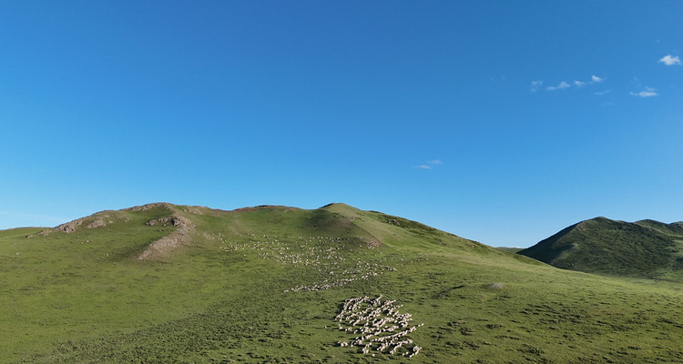 【一生必看！华子鱼洄游4日】穿越北疆风景大道+观华子鱼洄游生命奇迹+赏达里湖日落+塞尔达美景大青山+畅玩布日敦沙漠+美林谷+户外纯玩+38人舒适团~