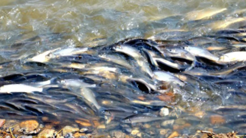 【五一·克旗全景5日】达达线+美林谷+康宁寺+玉龙沙湖沙漠畅游+达里湖华子鱼洄游与候鸟迁徙+乌兰布统+越野车穿越+多i伦湖+深度5日游！