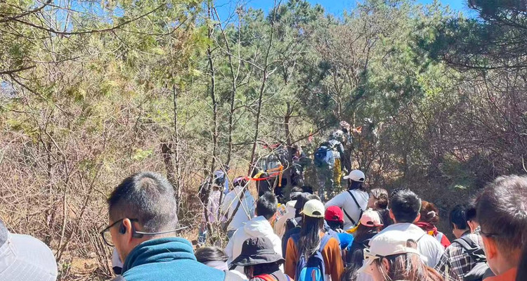 【北京一周一山·金海湖】漫步金海湖，登顶俯瞰“千岛湖”：沿小众栈道，赏湖光山色，觅京郊宁静‌‌~