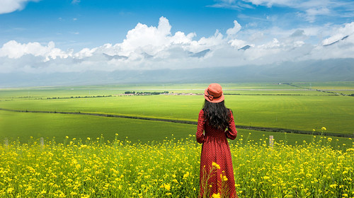 【遇见西北·大环线7日】西宁+青海湖骑行+黑马河+茶卡盐湖日落+德令哈海子纪念馆+大柴旦翡翠湖+胭脂山+黑独山+石油小镇+鸣沙山月牙泉日落+莫高窟+嘉峪关长城+张掖七彩丹霞日落+祁连山草原+门源油菜花+2-8人小包团&8人小车团