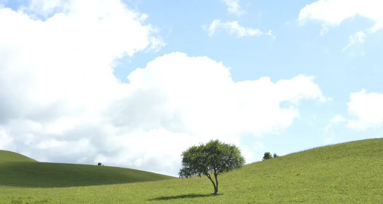 【遇见内蒙·北境穿越9日】赤峰+大青山+乌兰布统+公主湖+影视基地+甘丹驼城+勃隆克沙漠+玉龙沙湖+鄂温克驯鹿园+热阿线+黄岗梁+蒙古汗城+阿斯哈图石林+达达线+达理湖+避暑山庄+99号公路+大青山+金山岭长城+休闲纯玩9日游！