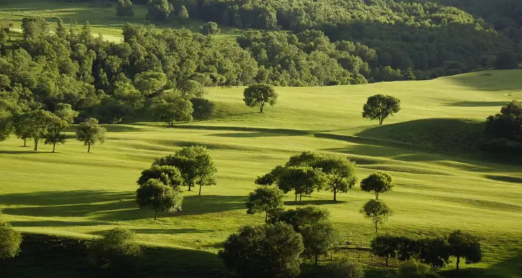 【行走草原Plus6日】赤峰+乌兰布统+大青山徒步+黄岗梁徒步+越野穿越热阿线达达线+花咕噜台+琪琪格湖+葫芦诺日+公主湖+白桦林+金山岭长城+28人精品徒步团