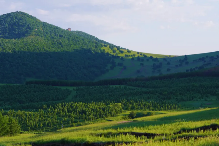 【遇见内蒙·北境穿越9日】赤峰+大青山+乌兰布统+公主湖+影视基地+甘丹驼城+勃隆克沙漠+玉龙沙湖+鄂温克驯鹿园+热阿线+黄岗梁+蒙古汗城+阿斯哈图石林+达达线+达理湖+避暑山庄+99号公路+大青山+金山岭长城+休闲纯玩9日游！