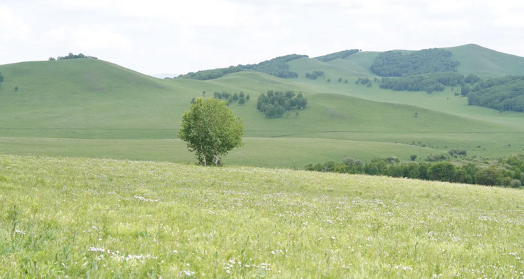 【行走草原Plus6日】赤峰+乌兰布统+大青山徒步+黄岗梁徒步+越野穿越热阿线达达线+花咕噜台+琪琪格湖+葫芦诺日+公主湖+白桦林+金山岭长城+28人精品徒步团