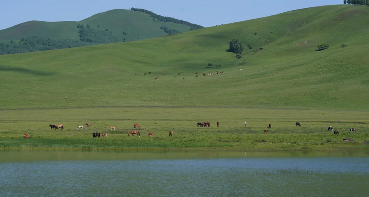 【遇见内蒙·北境穿越9日】赤峰+大青山+乌兰布统+公主湖+影视基地+甘丹驼城+勃隆克沙漠+玉龙沙湖+鄂温克驯鹿园+热阿线+黄岗梁+蒙古汗城+阿斯哈图石林+达达线+达理湖+避暑山庄+99号公路+大青山+金山岭长城+休闲纯玩9日游！