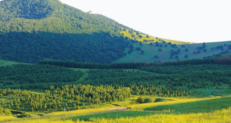 【遇见内蒙·北境穿越9日】赤峰+大青山+乌兰布统+公主湖+影视基地+甘丹驼城+勃隆克沙漠+玉龙沙湖+鄂温克驯鹿园+热阿线+黄岗梁+蒙古汗城+阿斯哈图石林+达达线+达理湖+避暑山庄+99号公路+大青山+金山岭长城+休闲纯玩9日游！