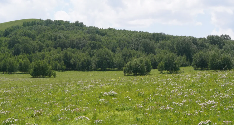 【行走草原Plus6日】赤峰+乌兰布统+大青山徒步+黄岗梁徒步+越野穿越热阿线达达线+花咕噜台+琪琪格湖+葫芦诺日+公主湖+白桦林+金山岭长城+28人精品徒步团