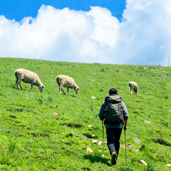 【行走草原Plus6日】赤峰+乌兰布统+大青山徒步+黄岗梁徒步+越野穿越热阿线达达线+花咕噜台+琪琪格湖+葫芦诺日+公主湖+白桦林+金山岭长城+28人精品徒步团