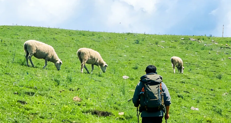 【行走草原Plus6日】赤峰+乌兰布统+大青山徒步+黄岗梁徒步+越野穿越热阿线达达线+花咕噜台+琪琪格湖+葫芦诺日+公主湖+白桦林+金山岭长城+28人精品徒步团