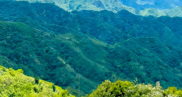 【北京一周一山·燕羽山】观奇山美景，品地道豆腐宴丨南下丽江寻艳遇，北上燕羽山中情，让豆腐宴见证最初的遇见吧~