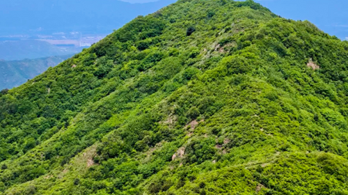 【北京一周一山·燕羽山】早鸟优惠来袭丨观奇山美景，品地道豆腐宴丨南下丽江寻艳遇，北上燕羽山中情，让豆腐宴见证最初的遇见吧~
