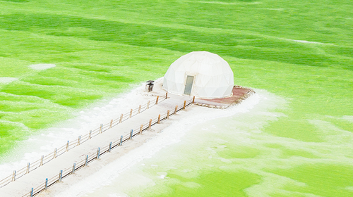 【西北山河集·青甘环线8日】西宁+祁连山草原+张掖七彩丹霞日落+嘉峪关长城+大地之子+莫高窟+鸣沙山月牙泉日落+石油小镇+黑独山+胭脂山+水上雅丹+大柴旦翡翠湖+12人旅拍团