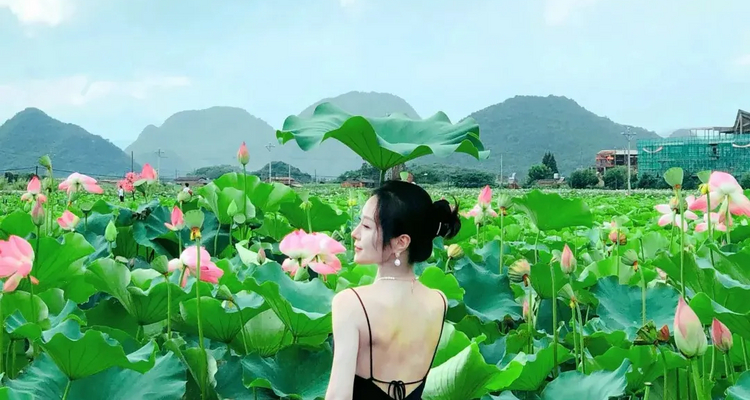 【滇黔精华 · 亲子避暑7日】  <云南滇东南+贵州兴义>亲子避暑+一线两省、抚仙湖、建水古城、普者黑、弥勒东风韵、马岭河大峡谷、万峰林&万峰湖、探秘峰林布依7日深度游