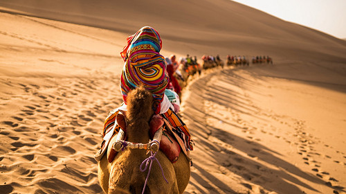 【西北山河集 · 青甘环线7日】西宁+祁连山草原+张掖七彩丹霞日落+嘉峪关长城+大地之子+莫高窟+鸣沙山月牙泉日落+石油小镇+黑独山+胭脂山+大柴旦翡翠湖+察尔汗盐湖+茶卡盐湖日落+黑马河+青海湖骑行+2-8人小包团&8人小车团