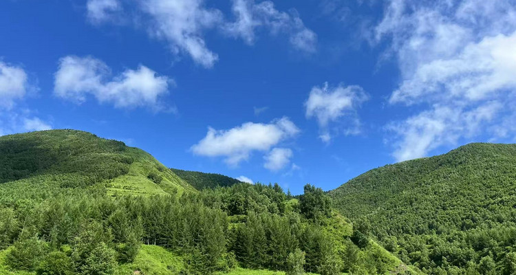 【北京一周一山·麻田岭】早鸟优惠来袭丨逃离都市，奔赴京西“香格里拉”，探访“京郊小天山”麻田岭‌‌‌~