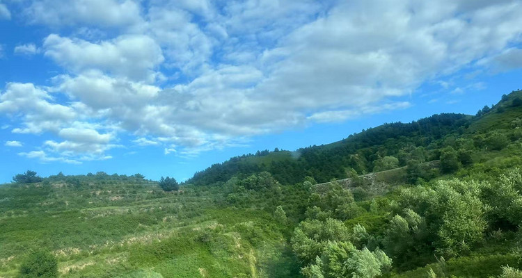 【北京一周一山·麻田岭】早鸟优惠来袭丨逃离都市，奔赴京西“香格里拉”，探访“京郊小天山”麻田岭‌‌‌~