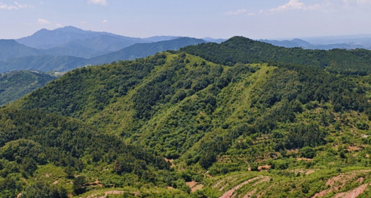 【北京一周一山·歪顶坨】早鸟优惠来袭丨远眺环秀湖，漫步性感山脊线，感受山脊伴湖泊的快感‌~