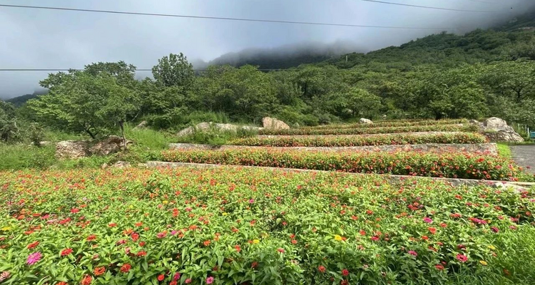【北京一周一山·东指壶一线天】早鸟优惠来袭丨剑峰奇峦藏一线 东指壶上揽清风丨探索平谷的隐秘高峰：侧身过绝壁，登顶揽云海~