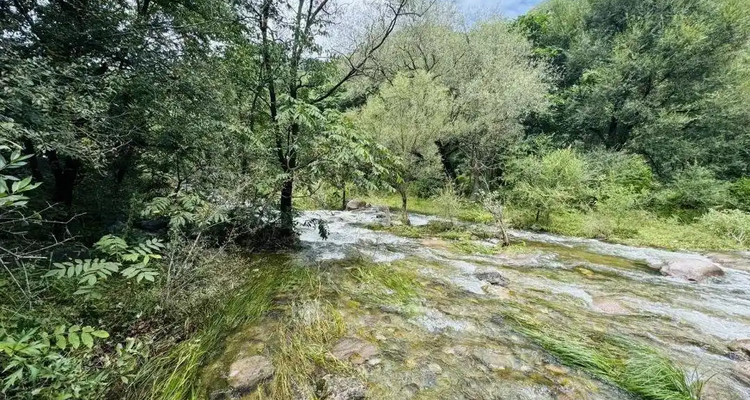 【北京一周一山·大黑山】早鸟优惠来袭丨浓荫蔽日夏初长，古寺清风伴林泉丨盛夏绿野寻幽，林荫溪畔避暑