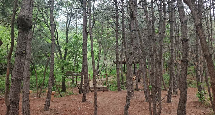 【北京一周一山·莲花滩 】早鸟优惠来袭丨童话森林里的漫步+奔向山谷秘境深处一线天+感受山野乐趣~