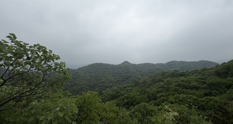 【北京一周一山·莲花滩 】早鸟优惠来袭丨童话森林里的漫步+奔向山谷秘境深处一线天+感受山野乐趣~