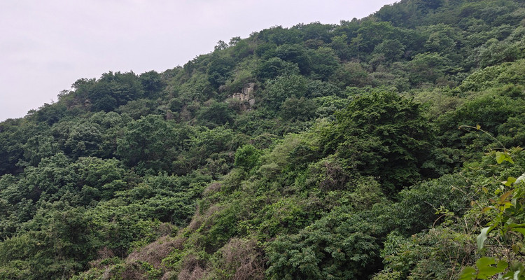 【北京一周一山·藤萝谷】早鸟优惠来袭丨京郊徒步 | 藤萝谷探险记：攀爬天然藤蔓，寻觅野果，体验原生态徒步乐趣~
