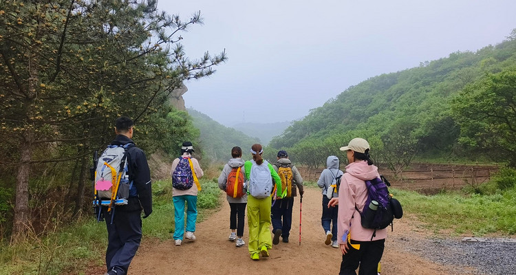 【北京一周一山·莲花滩 】早鸟优惠来袭丨童话森林里的漫步+奔向山谷秘境深处一线天+感受山野乐趣~