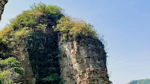 【北京一周一山·老象峰】早鸟优惠来袭丨层峦叠翠，巨象静立丨老象峰的夏日，是森林写给城市的诗丨躲进90%绿荫里吸氧~