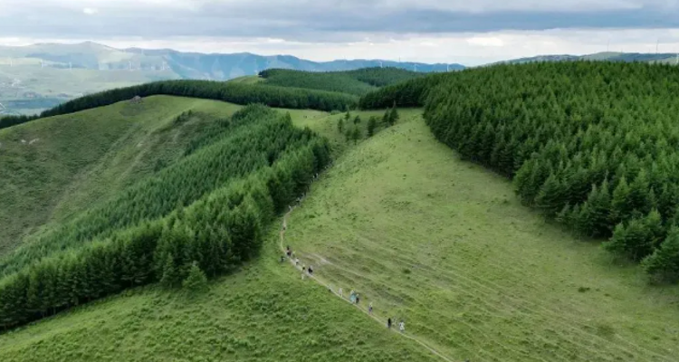 【北京一周一山·飞狐峪】‌早鸟优惠来袭丨宫崎骏的画布丨蔚县空中草原：穿越飞狐峪的绿色仙境，一场关于山野与自由的夏日漫行~