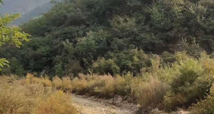 【北京一周一山·谷积山】‌早鸟优惠来袭丨一山览尽宋辽风丨水墨丹青里的三塔两寺，寻访千年前的静谧时光丨从鲁家滩到灵鹫禅寺：一条集自然与古迹于一体的经典徒步线~