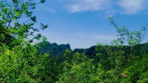 【北京一周一山·老象峰】早鸟优惠来袭丨层峦叠翠，巨象静立丨老象峰的夏日，是森林写给城市的诗丨躲进90%绿荫里吸氧~