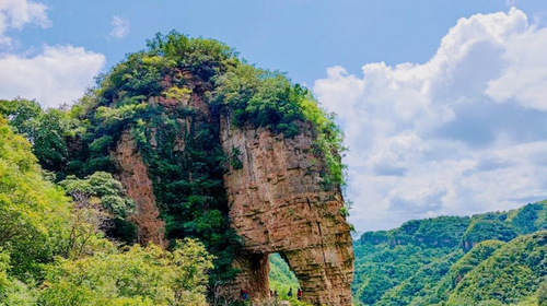 【北京一周一山·老象峰】早鸟优惠来袭丨层峦叠翠，巨象静立丨老象峰的夏日，是森林写给城市的诗丨躲进90%绿荫里吸氧~