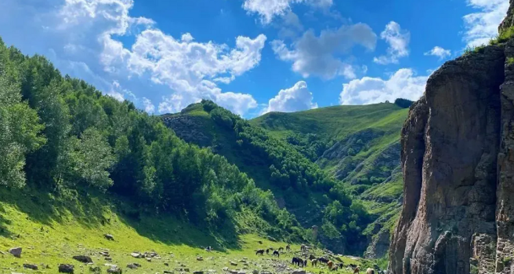 【北京一周一山·飞狐峪】‌早鸟优惠来袭丨宫崎骏的画布丨蔚县空中草原：穿越飞狐峪的绿色仙境，一场关于山野与自由的夏日漫行~