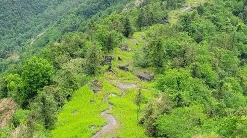 【北京一周一山·九道梁】京郊阿勒泰  | 穿行苍茫山脊 尽览山河壮美 | 云雾抚地游走，野花漫山绽放 | 九道梁亚高山草甸，邂逅云端花海