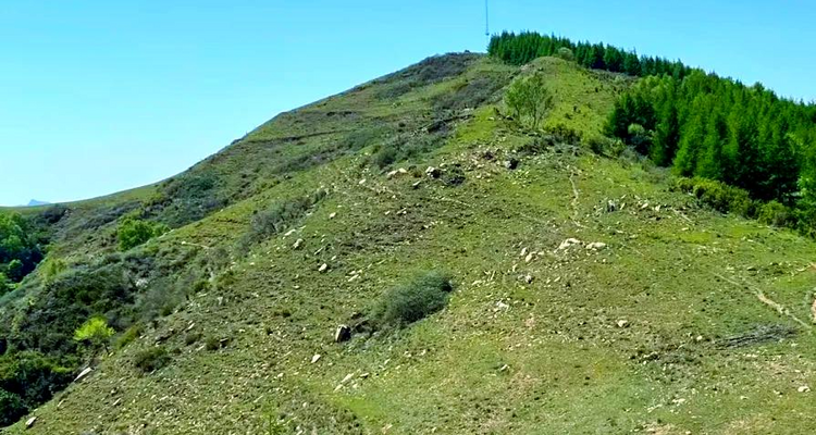 【北京一周一山·九道梁】京郊阿勒泰  | 穿行苍茫山脊 尽览山河壮美 | 云雾抚地游走，野花漫山绽放 | 九道梁亚高山草甸，邂逅云端花海