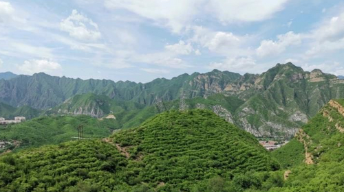 【北京一周一山·落坡岭】早鸟优惠来袭丨解锁北京“小雅鲁藏布江”丨漫步落坡岭：有山有水有火车，治愈感拉满~在郁郁葱葱中，寻找属于夏天的自由呼吸~