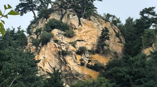 【北京一周一山·九道梁】京郊阿勒泰  | 穿行苍茫山脊 尽览山河壮美 | 云雾抚地游走，野花漫山绽放 | 九道梁亚高山草甸，邂逅云端花海