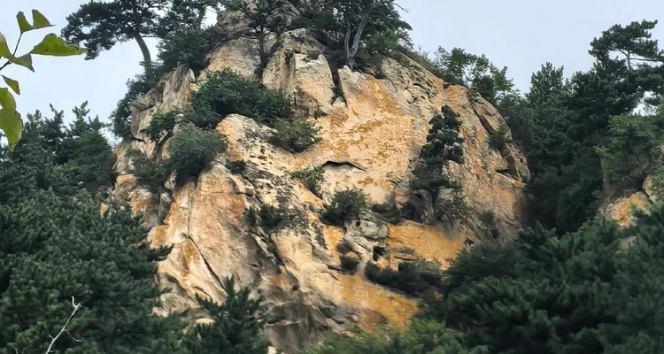 【北京一周一山·九道梁】京郊阿勒泰  | 穿行苍茫山脊 尽览山河壮美 | 云雾抚地游走，野花漫山绽放 | 九道梁亚高山草甸，邂逅云端花海