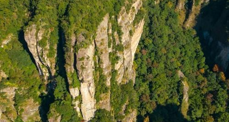 【北京一周一山·大黑峰】早鸟优惠来袭丨大黑峰：塞外第一峰的绿色浪漫 | 不用去远方，北京周边就有“小海坨”，漫步高山草甸，闯入宫崎骏的夏日画卷~