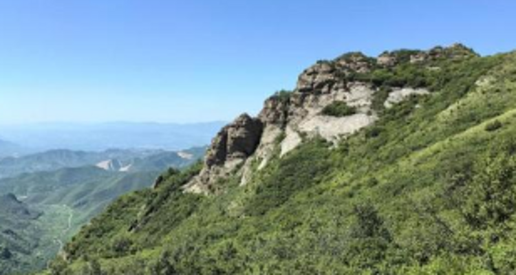 【北京一周一山·大黑峰】早鸟优惠来袭丨大黑峰：塞外第一峰的绿色浪漫 | 不用去远方，北京周边就有“小海坨”，漫步高山草甸，闯入宫崎骏的夏日画卷~
