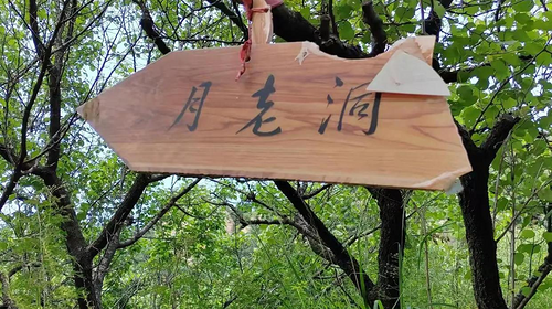 【北京一周一山·九道梁】京郊阿勒泰  | 穿行苍茫山脊 尽览山河壮美 | 云雾抚地游走，野花漫山绽放 | 九道梁亚高山草甸，邂逅云端花海