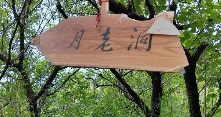 【北京一周一山·九道梁】京郊阿勒泰  | 穿行苍茫山脊 尽览山河壮美 | 云雾抚地游走，野花漫山绽放 | 九道梁亚高山草甸，邂逅云端花海