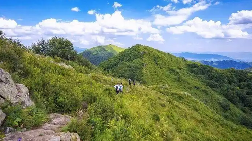 【北京一周一山·大黑峰】早鸟优惠来袭丨大黑峰：塞外第一峰的绿色浪漫 | 不用去远方，北京周边就有“小海坨”，漫步高山草甸，闯入宫崎骏的夏日画卷~