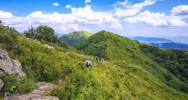 【北京一周一山·大黑峰】早鸟优惠来袭丨大黑峰：塞外第一峰的绿色浪漫 | 不用去远方，北京周边就有“小海坨”，漫步高山草甸，闯入宫崎骏的夏日画卷~