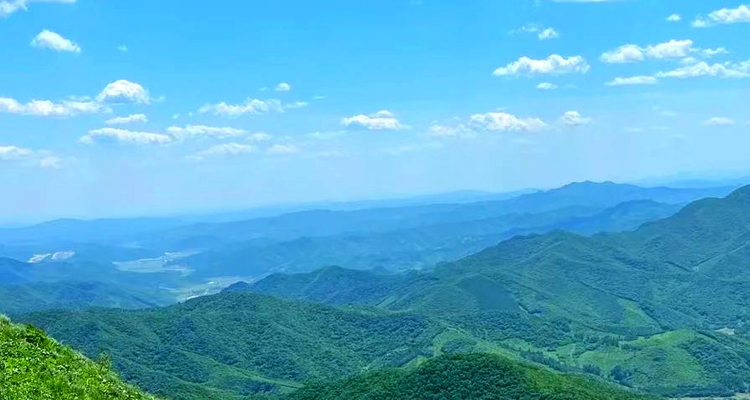 【北京一周一山·九道梁】京郊阿勒泰  | 穿行苍茫山脊 尽览山河壮美 | 云雾抚地游走，野花漫山绽放 | 九道梁亚高山草甸，邂逅云端花海