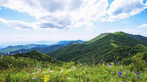 【北京一周一山·大黑峰】早鸟优惠来袭丨大黑峰：塞外第一峰的绿色浪漫 | 不用去远方，北京周边就有“小海坨”，漫步高山草甸，闯入宫崎骏的夏日画卷~