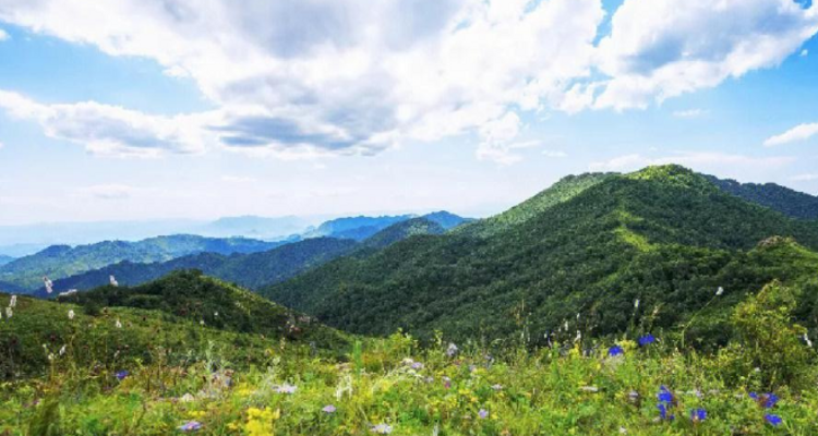 【北京一周一山·大黑峰】早鸟优惠来袭丨大黑峰：塞外第一峰的绿色浪漫 | 不用去远方，北京周边就有“小海坨”，漫步高山草甸，闯入宫崎骏的夏日画卷~
