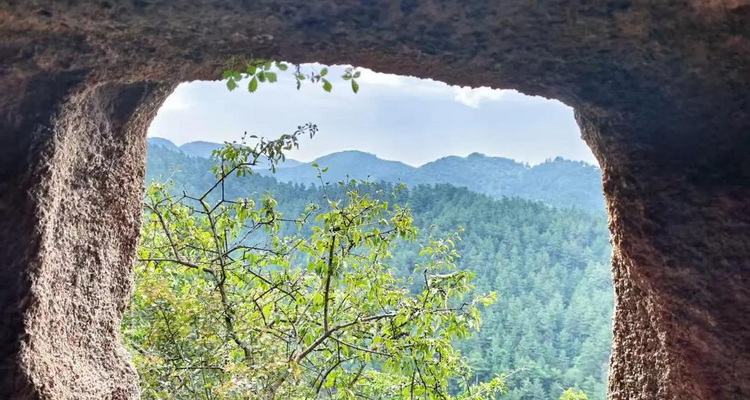 【北京一周一山·九道梁】京郊阿勒泰  | 穿行苍茫山脊 尽览山河壮美 | 云雾抚地游走，野花漫山绽放 | 九道梁亚高山草甸，邂逅云端花海
