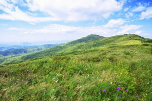 【北京一周一山·大黑峰】早鸟优惠来袭丨大黑峰：塞外第一峰的绿色浪漫 | 不用去远方，北京周边就有“小海坨”，漫步高山草甸，闯入宫崎骏的夏日画卷~